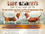 Lady Barnett's vrh U / litter U