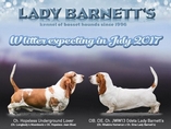 Lady Barnett's vrh W / litter W
