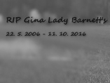 RIP Gina Lady Barnett's
