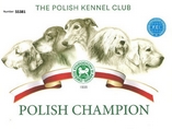 Polish champion