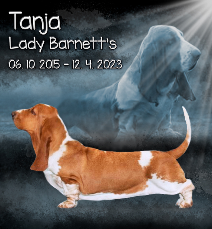 R.I.P. Tanja Lady Barnett's
