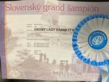 Ebony Lady Barnett's is now Slovak grand champion