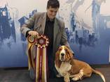 European dog show Celje