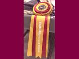 European dog show Celje
