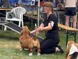 Flanders Dog Expo