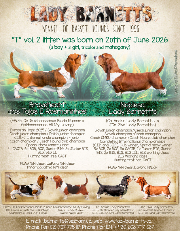 Lady Barnett's litter T